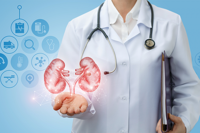 Kidney Stone Disease and Treatment
