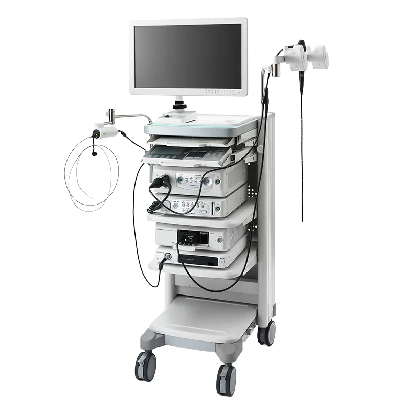 EUS (Endoscopic Ultrasound)
