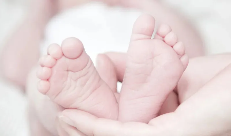 IVF (In Vitro Fertilization)