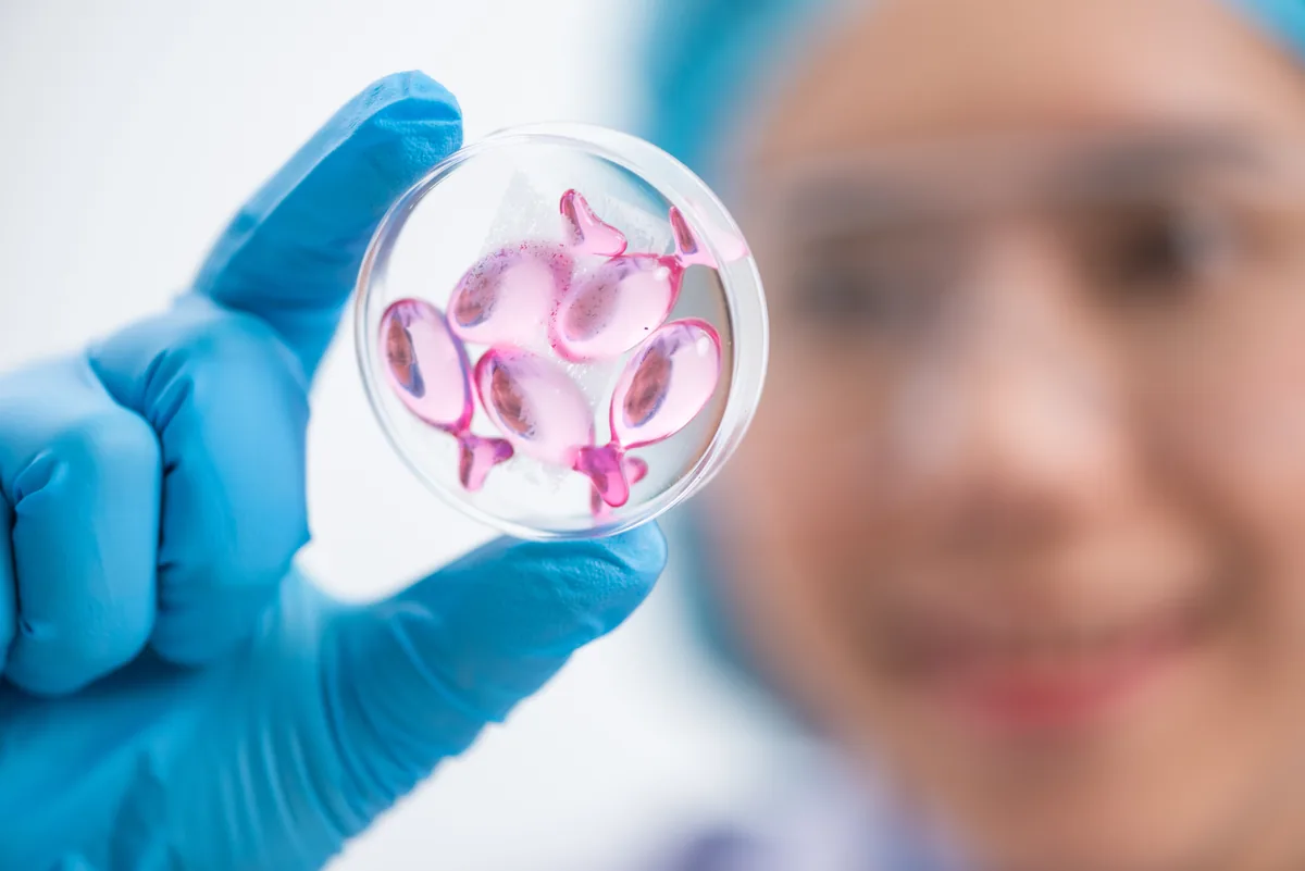 Phases of In Vitro Fertilization